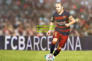 纽卡斯尔转会立场现松动 伊萨克未来突生变数引豪门关注