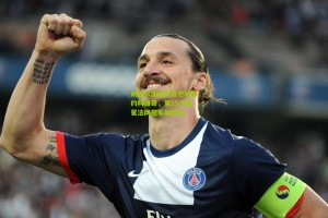 纳达尔鏖战五盘逆转德约科维奇，第15次加冕法网冠军创历史