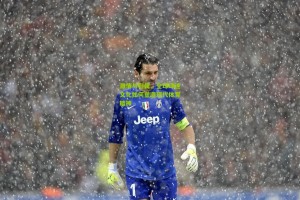 激情与归属，全球球迷文化如何塑造现代体育精神