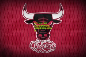 UFC 303，佩雷拉KO卫冕引爆全场，中国新星李凯文惊艳首秀