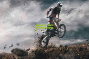 温网巅峰对决，新星闪耀与传奇续写的草地盛宴