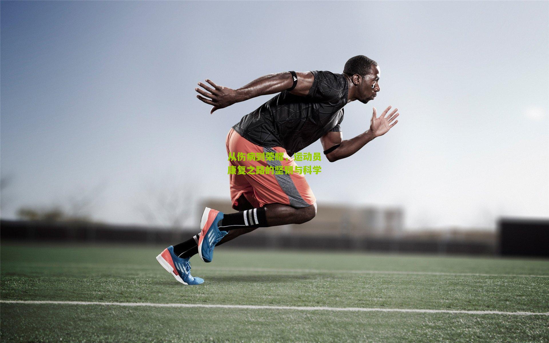 从伤病到荣耀,运动员康复之路的坚韧与科学