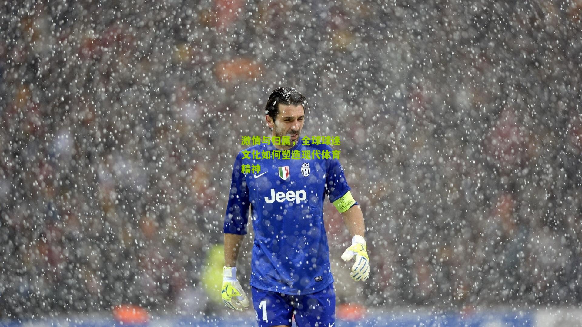 激情与归属,全球球迷文化如何塑造现代体育精神